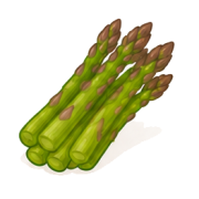 asparagi