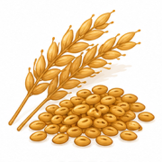 cereali
