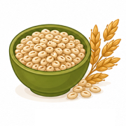 orzo